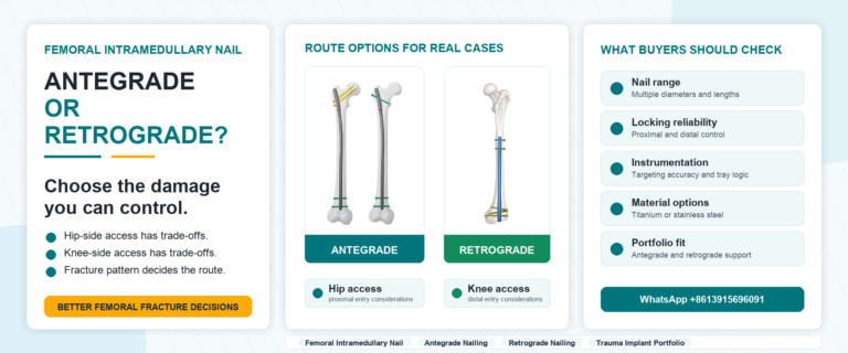 Antegrade and retrograde femoral intramedullary nail options for orthopedic trauma fixation
